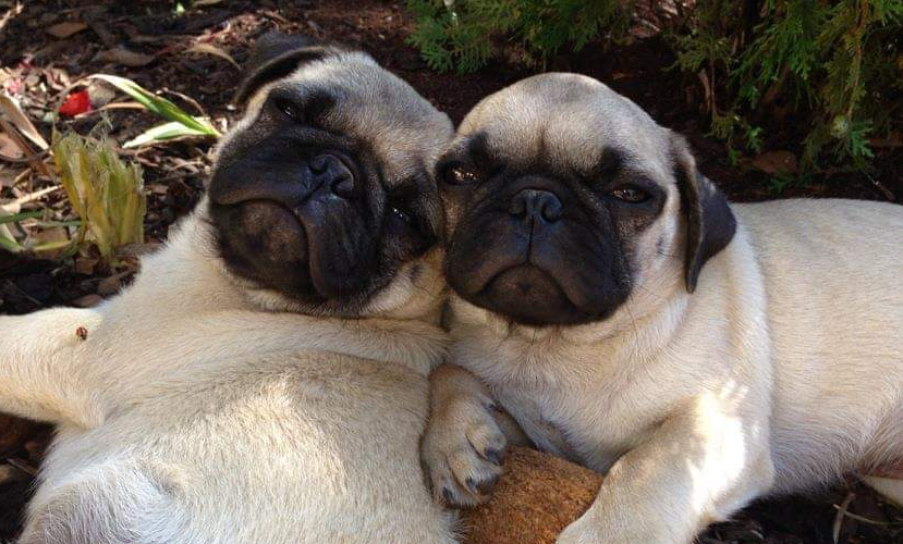 FB_IMG_1571871804068