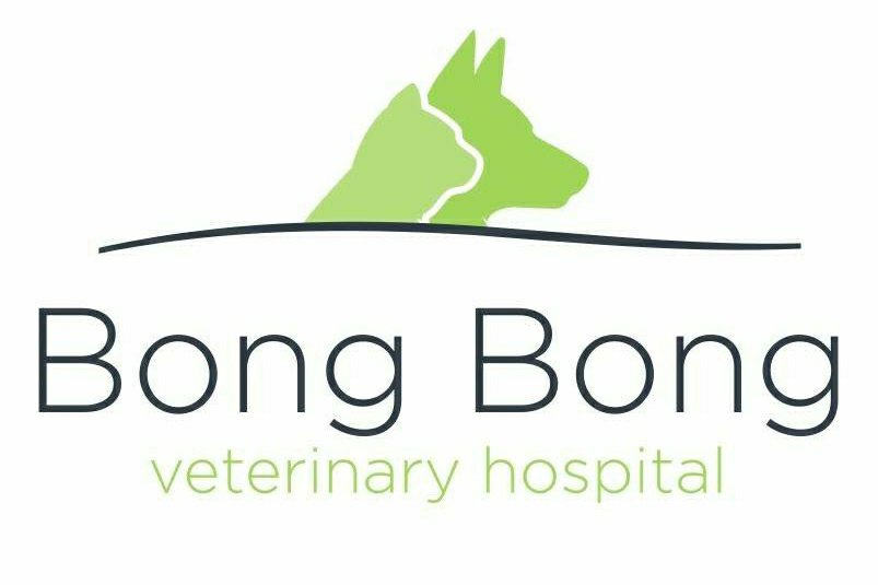 Bong bong vet