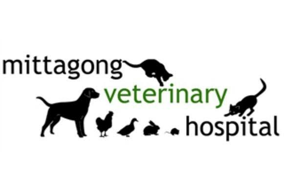 Mittagong vet hospital