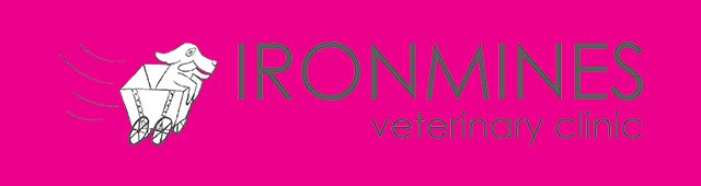 Ironmines Vet Mittagong 