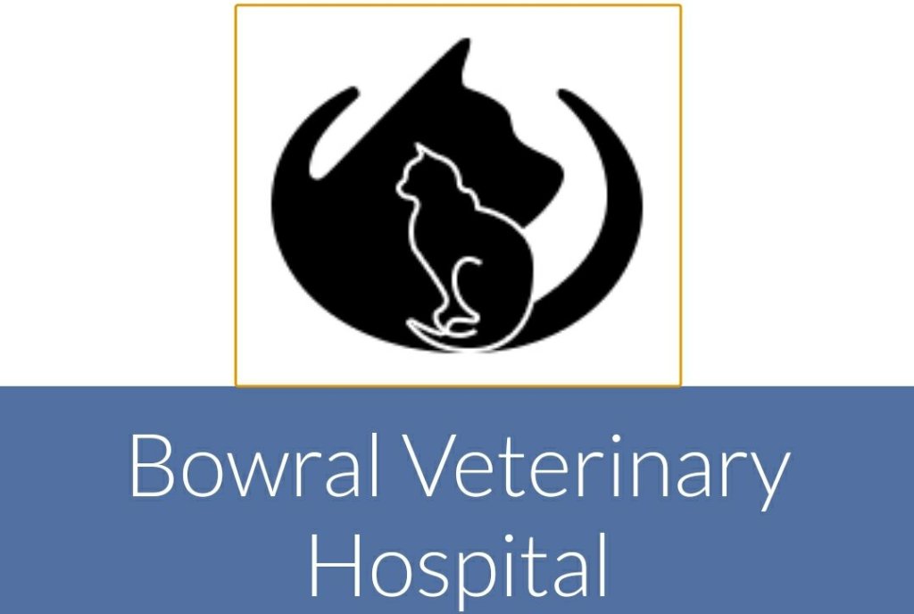 Bowral vet hospital 