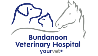 Bundanoon vet
